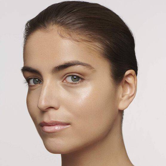 GLOSS LABIAL LIP PERFECTOR 22